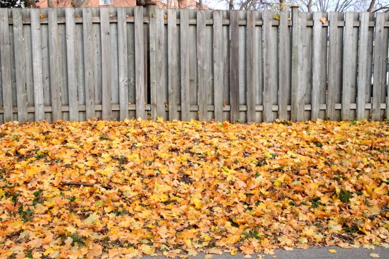 Fence Maintenance in Fall